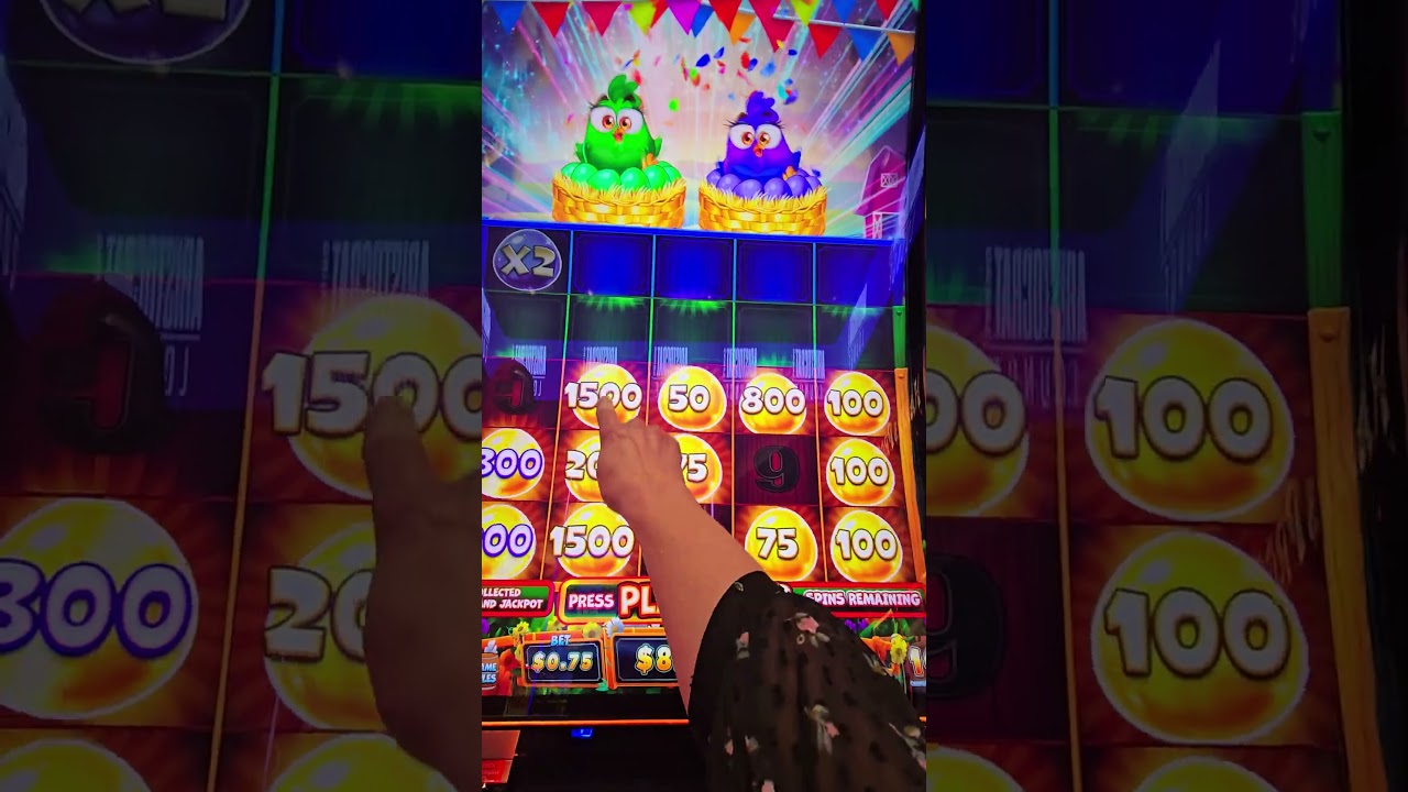 those Crazy Chickens are,  well,  CRAZY 🤪 slot machine