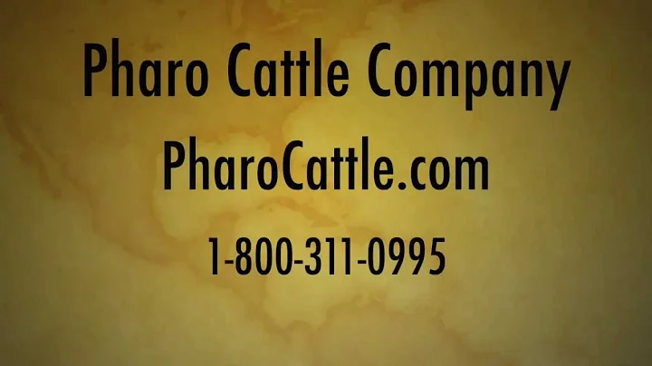 Bobby Rhoades on Pharo Cattle Company
