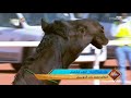 عرض نخبة النخبة اللون المجاهيم يوم الأربعاء ٩ ديسمبر ٢٠٢٠ ٢٤ ربيع الثاني ١٤٤٢هـ