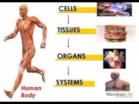 Class 03 - YouTube