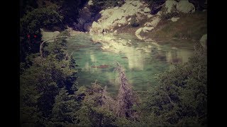 Terrified Hunters Chased From Forest (Squatchable Stories)