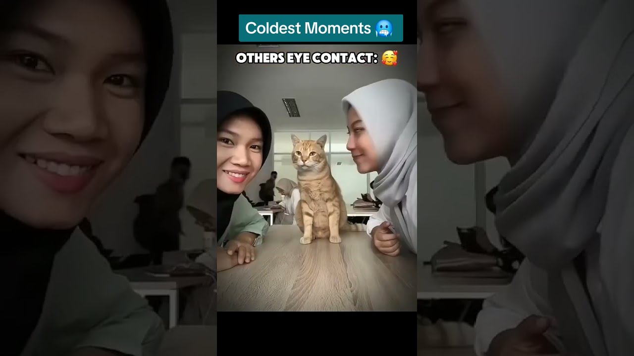 Eye Contact | Coldest Troll FACE Compilation 🥶 Troll Face Phonk Tiktoks 🥶Coldest Moments Of All TIME