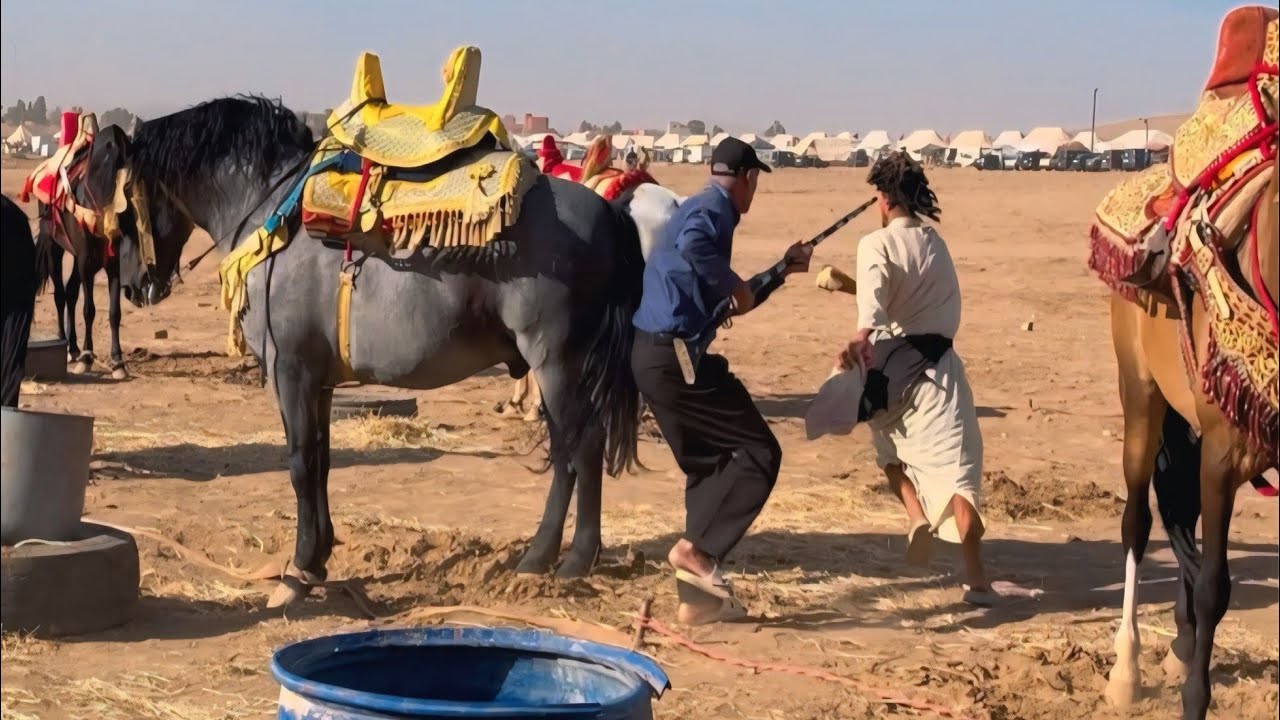 عطني العود ديالي خلاه ليا جدي بزااااف هد خونا مايمكنش😂😂😂