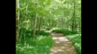 اجمل صوت قران في الدنيا. مؤثر جدا يبكي