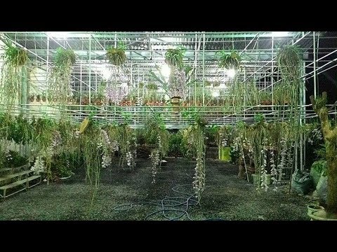 Video: Mỗi - Một Khu Vườn