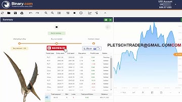 AUTO BOT BINARY PTERODACLTY DESTRUINDO A BINARY.COM 2019 PLETSCH TRADER