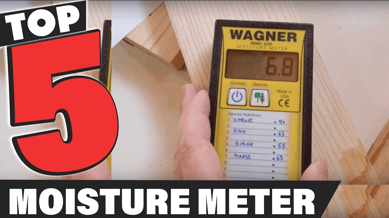 Best Moisture Meter In 2026 - Top 5 Moisture Meters Review