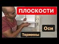 Анатомические плоскости, оси, позиция, термины