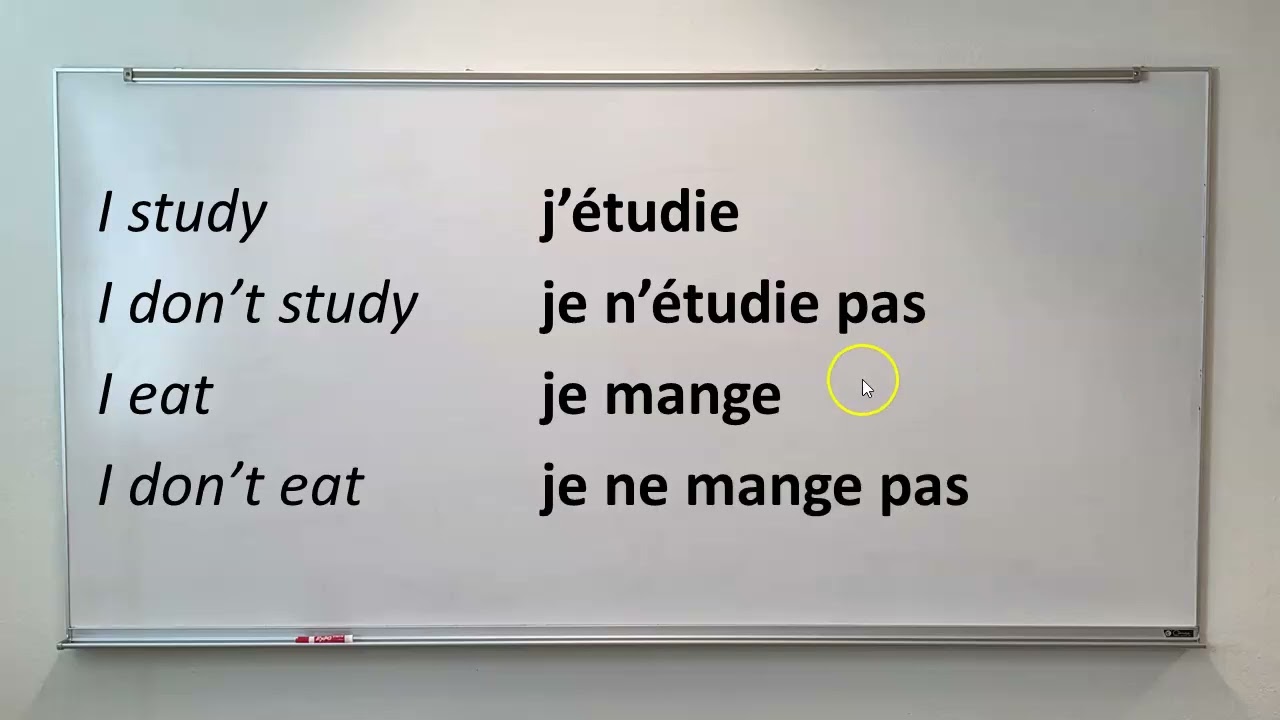 132 Easily Learn French, the NE PAS challenge.