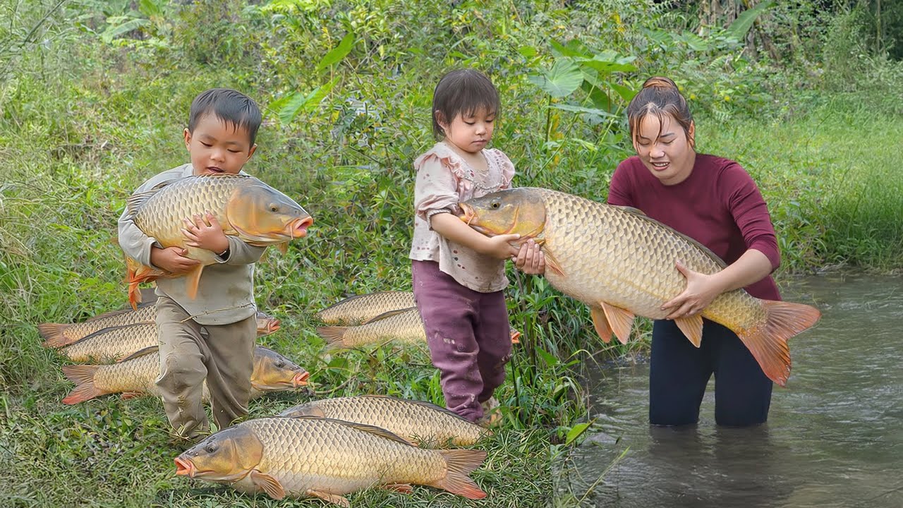 Giant Carp in Deep Rice Fields— Fishing on Freezing Winter Days of Chuc Duong Family | Village Life