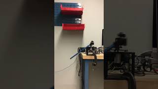 Data Collection with Pendulum