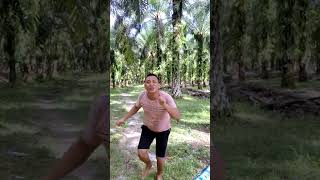 Marputar Songon Roda Ni Padati Anggo Parngoluanon