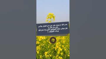إسلام صبحي | تلاوة تأخذك لعالم آخر 😌