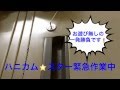 鍵のハニカム★スター《更衣室ロッカーの解錠》