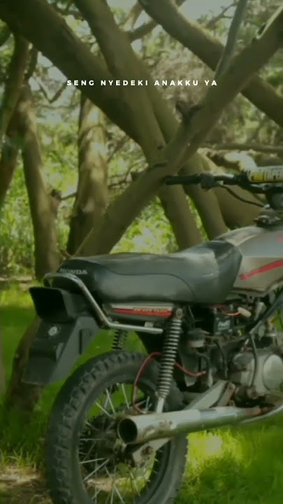 Story wa honda win 100 trail. #shorts #storywa #hondawin100
