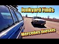 Junkyard Finds - Mercedes Diesel Galore