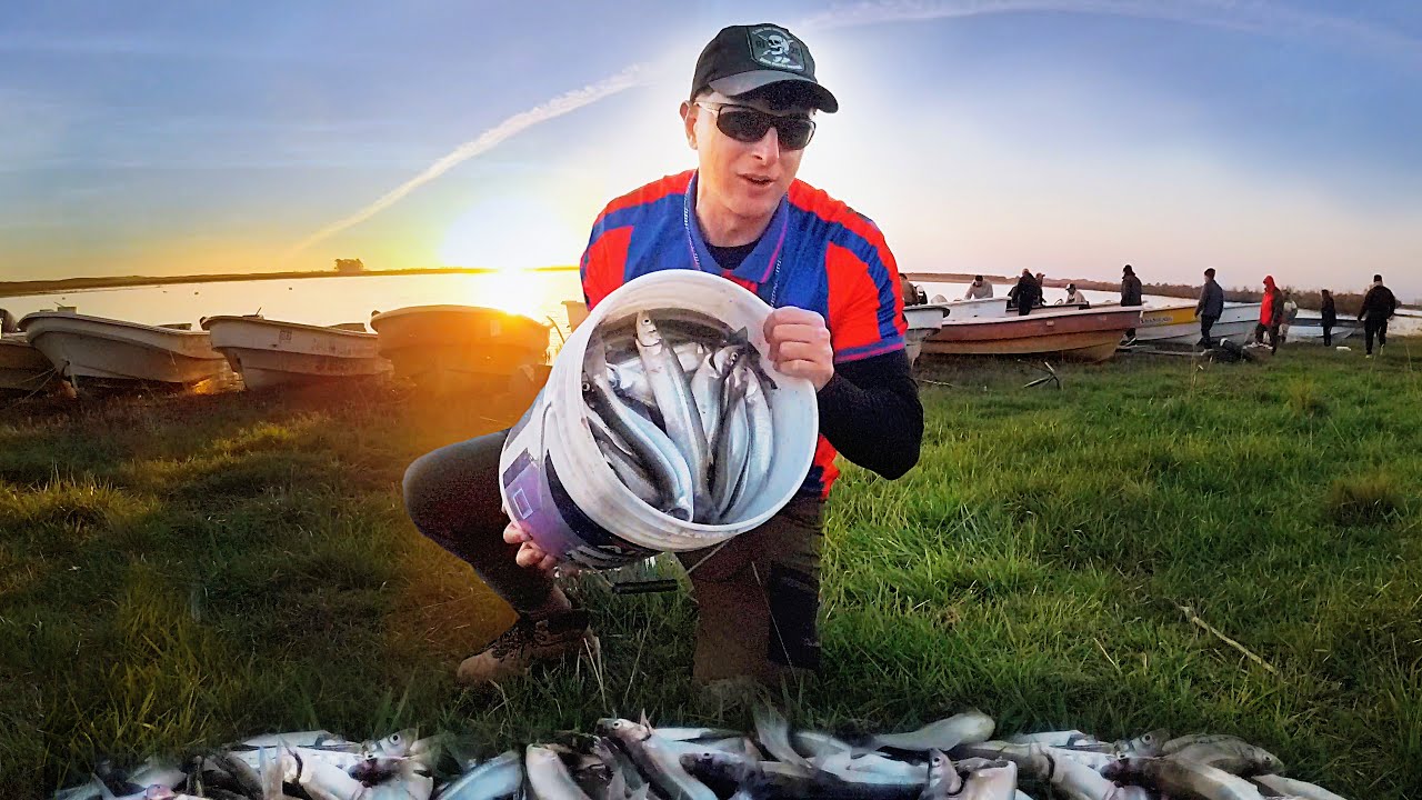 PESCAR PEJERREYES - EN ESTA LAGUNA LA PESCA DE PEJERREY ES ASEGURADA