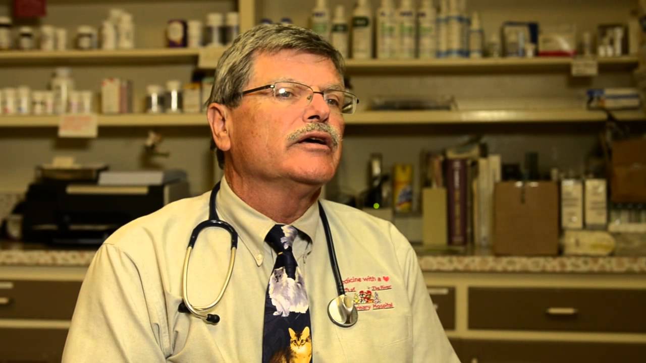 North Of The River Vet Owner Story YouTube