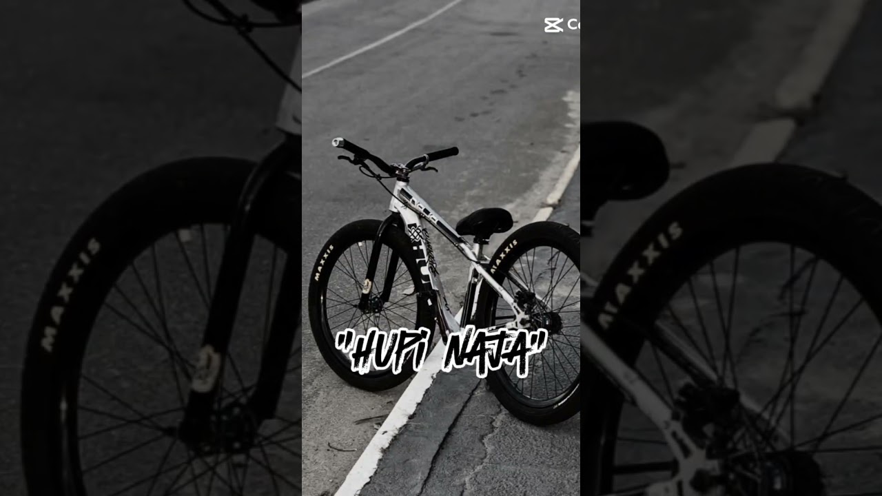 conheça a dupla hupi naja e Gios 