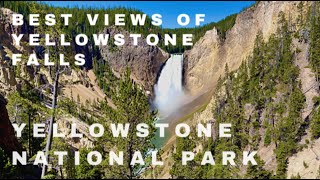 GRAND CANYON of the YELLOWSTONE | Yellowstone Falls | Brink of the Lower Falls | Yellowstone by CampTravelExplore 9,495 views 2 years ago 8 minutes, 2 seconds