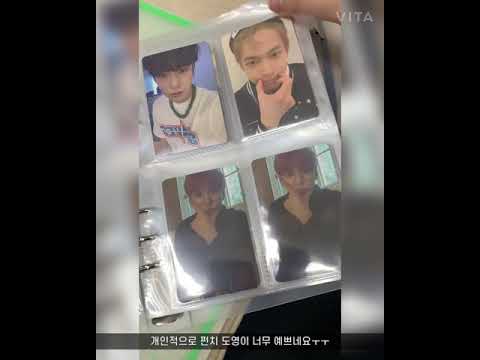 [시즈니 브이로그] 도프,탤프의 포카 모아보기 🐰🌕 포카 새집장만