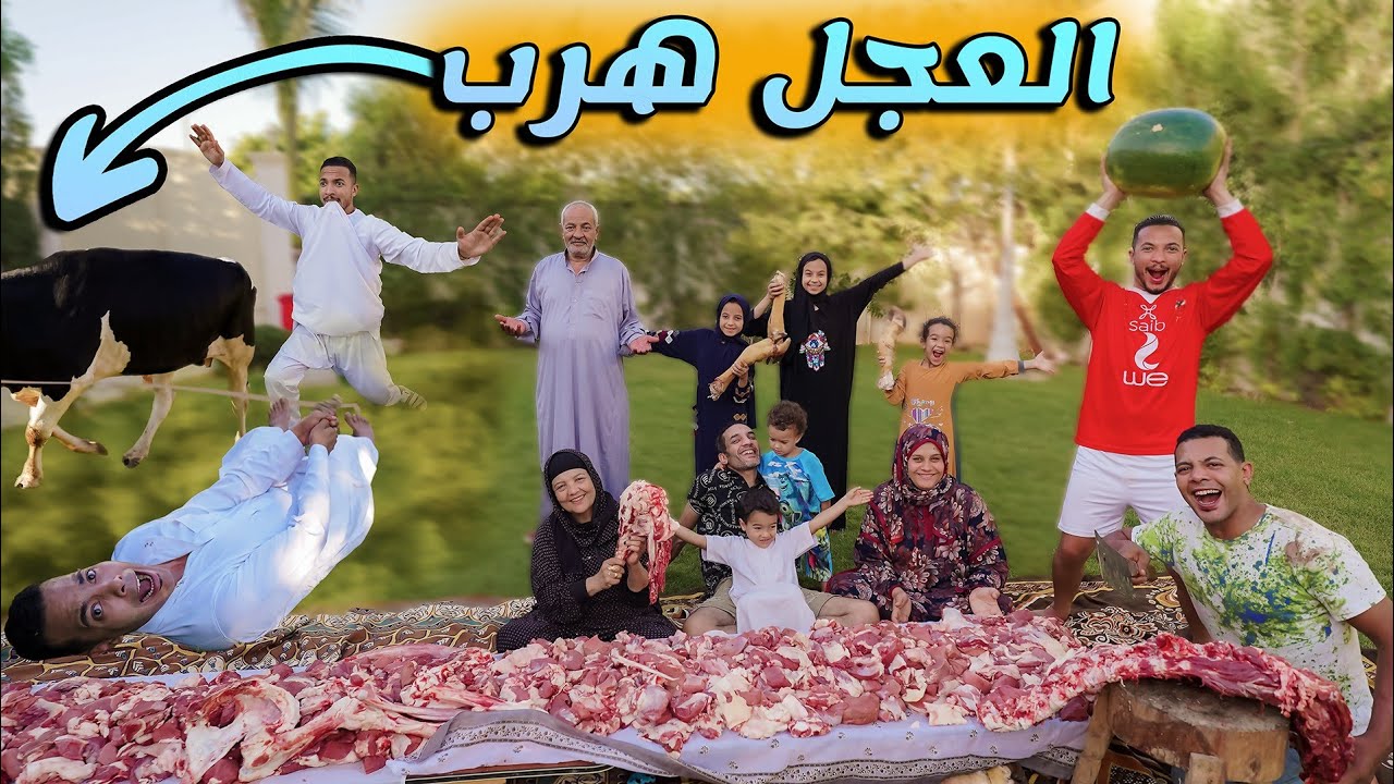 العجل هرررب اول يوم العيد 🐄(مقلب ومنتهي الاستهتار😩)