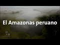 Mi primera vez en el Amazonas!! | Alan por el mundo Perú #13