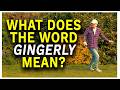 What does 'gingerly' mean? - Learn English with Mr Duncan