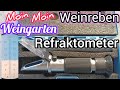 Unehrlich mit ein Refraktometer Werbung machen für Weinrebe, Traube. Falsche Messungen von Zucker.