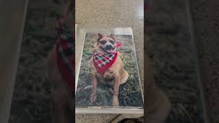 Custom Watercolor Pet Memorial – A Tribute That Lasts Forever