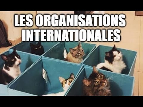 Vidéo: Quelle organisation internationale est pour l'éducation à l'environnement ?