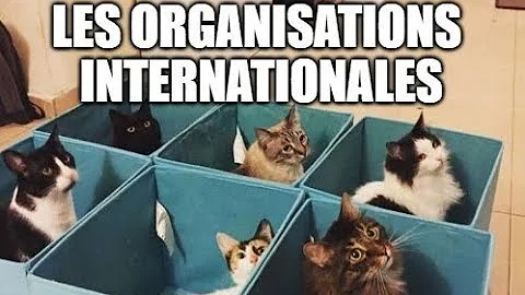 Comment distinguer l'état d'une organisation internationale ?