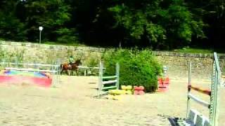 Sans titre_20120104_185122.MPG