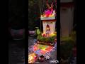 तुळशी विवाह decoration. Tulsi Vivah. #trending #viralvideo #diy #art #ytshorts