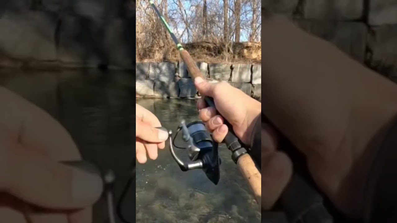 Catching Rainbow Trout in an Urban Creek 🎣  