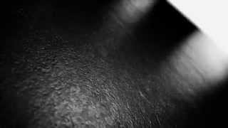 Trailer Instagram Influencer Media Brand