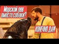 МОРСКОЙ ЛЕВ ВМЕСТО СОБАКИ?! НЕОБЫЧНЫЕ ЖИВОТНЫЕ | ТОП ВЛОГ в цирке и интервью с дрессировщиками