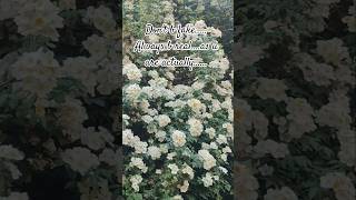 Always b real ,don't b fake || #ytshorts #motivation #reality #quotes #mindset