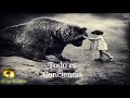 Todo es conciencia  Robert Adams