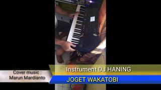 INSTRUMENT DJ HANING.joget wakatobi