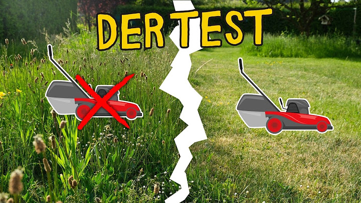 ❌I didn't mow for 3 months - this is what happened