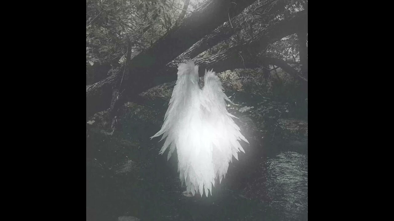 [FREE] Mkgee x Indie type beat 