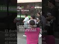 “Es una locura”: Un conductor choca y destruye un negocio nuevo en Doral