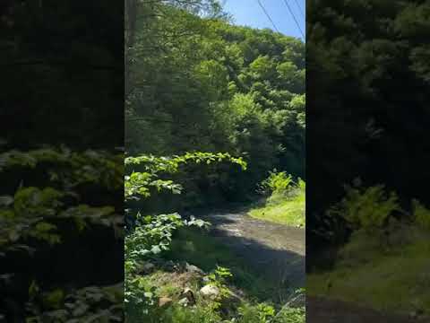 Это рай Отдохнуть, набраться сил и энергии, вдохновения и идей #camping #glamping #глэмпинг