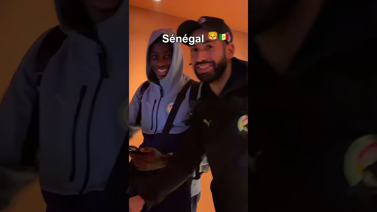 Les lions sont arrivés à Marseille 🇸🇳🦁#Marseille #sportsshorts  #Ligue1 #senegaltiktok #football