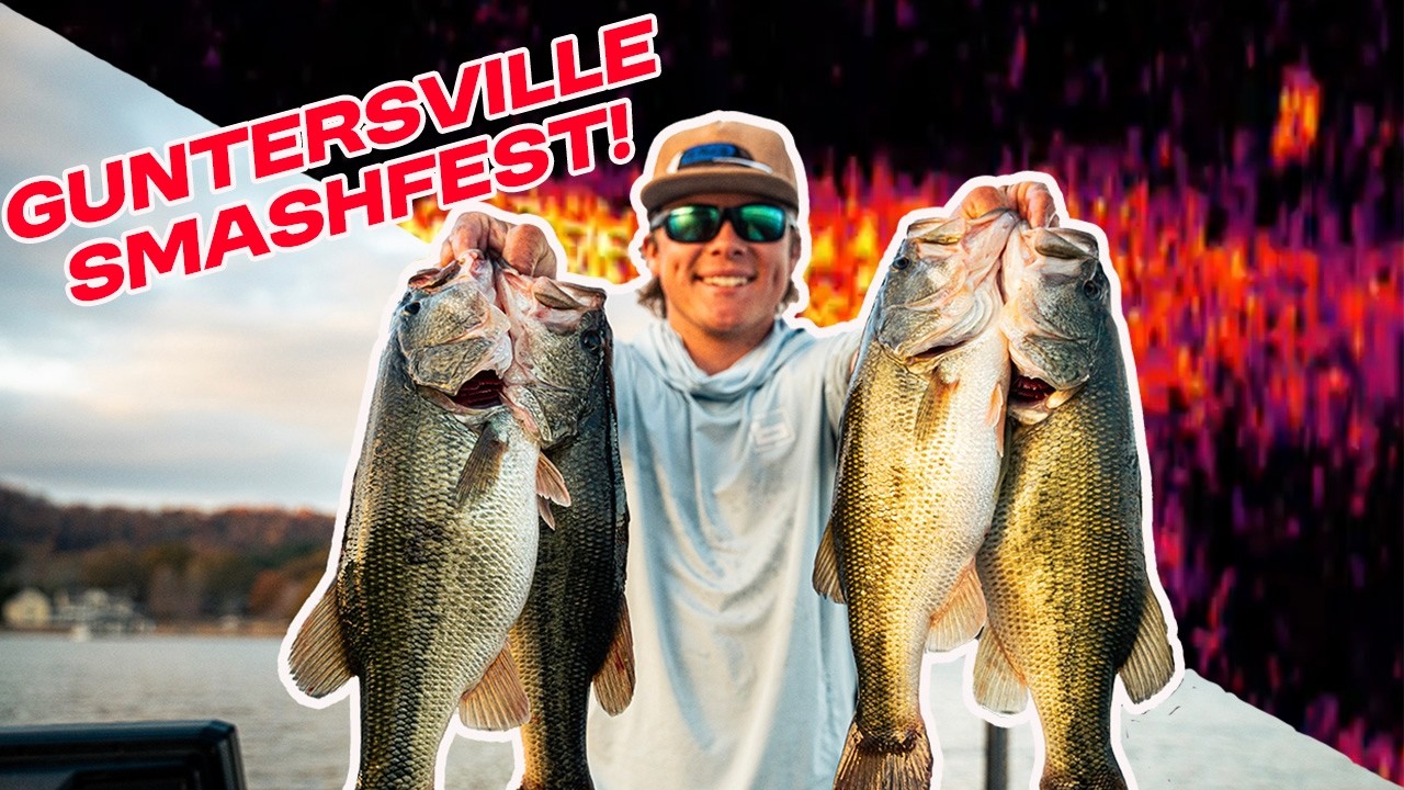 Breaking Down Lake Guntersville! Giant Bag! (Livescope Footage)