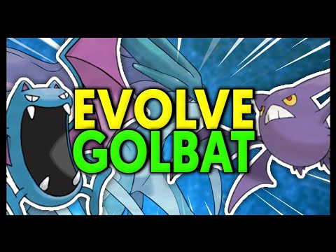 COMMENT EVOLVE Golbat EN Crobat SUR CRYSTAL POKEMON