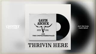 Gavin Adcock - Ain't No Cure