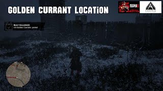 Red Dead Redemption 2: Golden Currant Location #arrakisstudio #gaming #rdr2 #rdr2 #rdrgameplay