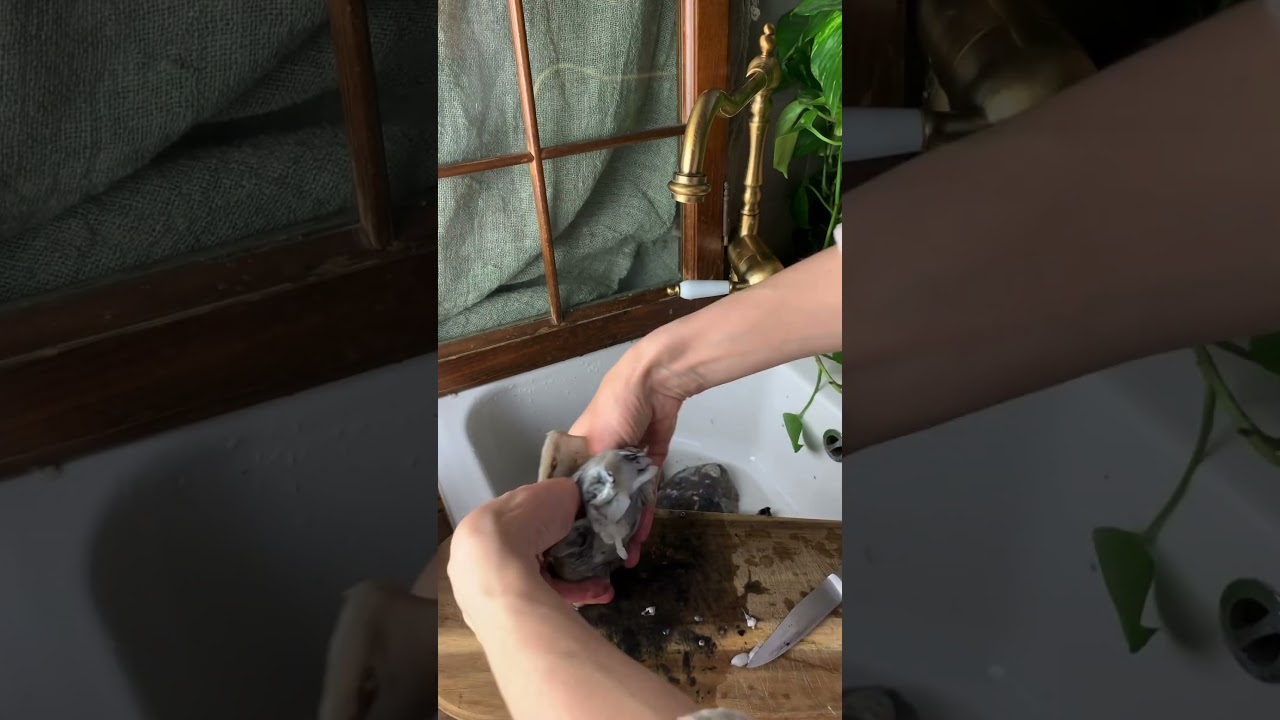 Voici comment nettoyer les seiches pour préparer à la planxa! Je vous met bientôt une vidéo complète